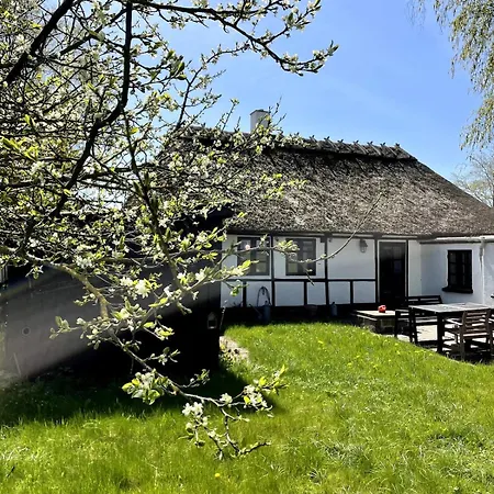 Feriehus Birkehuset, Ein Gemuetliches Haus Auf Dem Land *